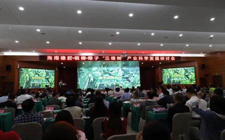 海南“三棵树”产业科学发展研讨会.jpg